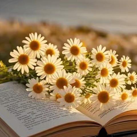 “读”享成长时光——临猗二中嵋阳校区“书香寒假，一道共读”读书分享活动