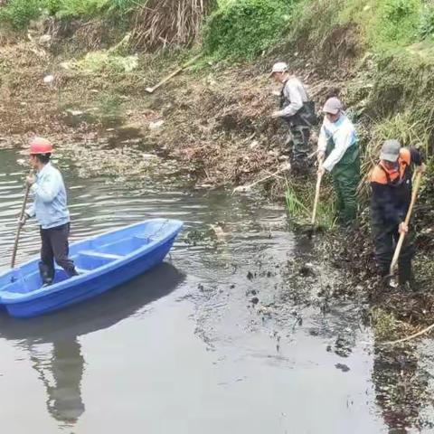石门街镇城乡环境综合整治工作周报