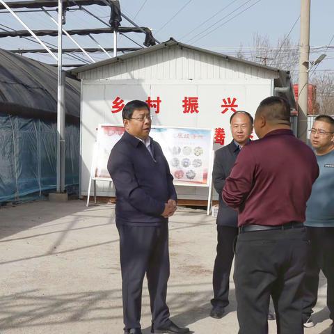 市委副书记王世臣调研乡村振兴产业项目建设工作