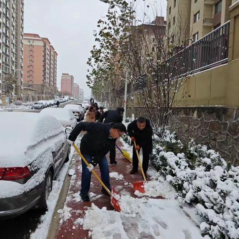 县医保局开展扫雪除冰活动