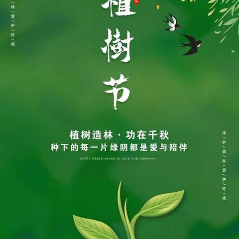 播撒绿意，拥抱春天——大观学校三级部植树节活动