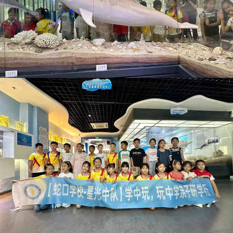 【蛇口学校-二(10)班 星光中队】学中玩，玩中学亲子研学行——深圳蛇口海洋科普馆