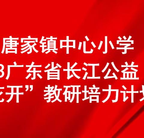 雷州市唐家镇中心小学2023广东长江公益“苔花开”教研培力计划（一）