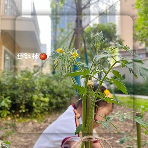 缤纷6月 时光留“夏”