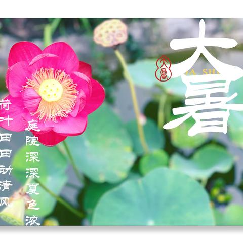 大暑至  夏正浓——【西关幼儿园】大暑节气温馨提示