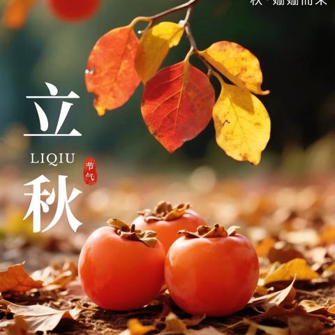 西关幼儿园——﻿中国传统二十四节气之“立秋”