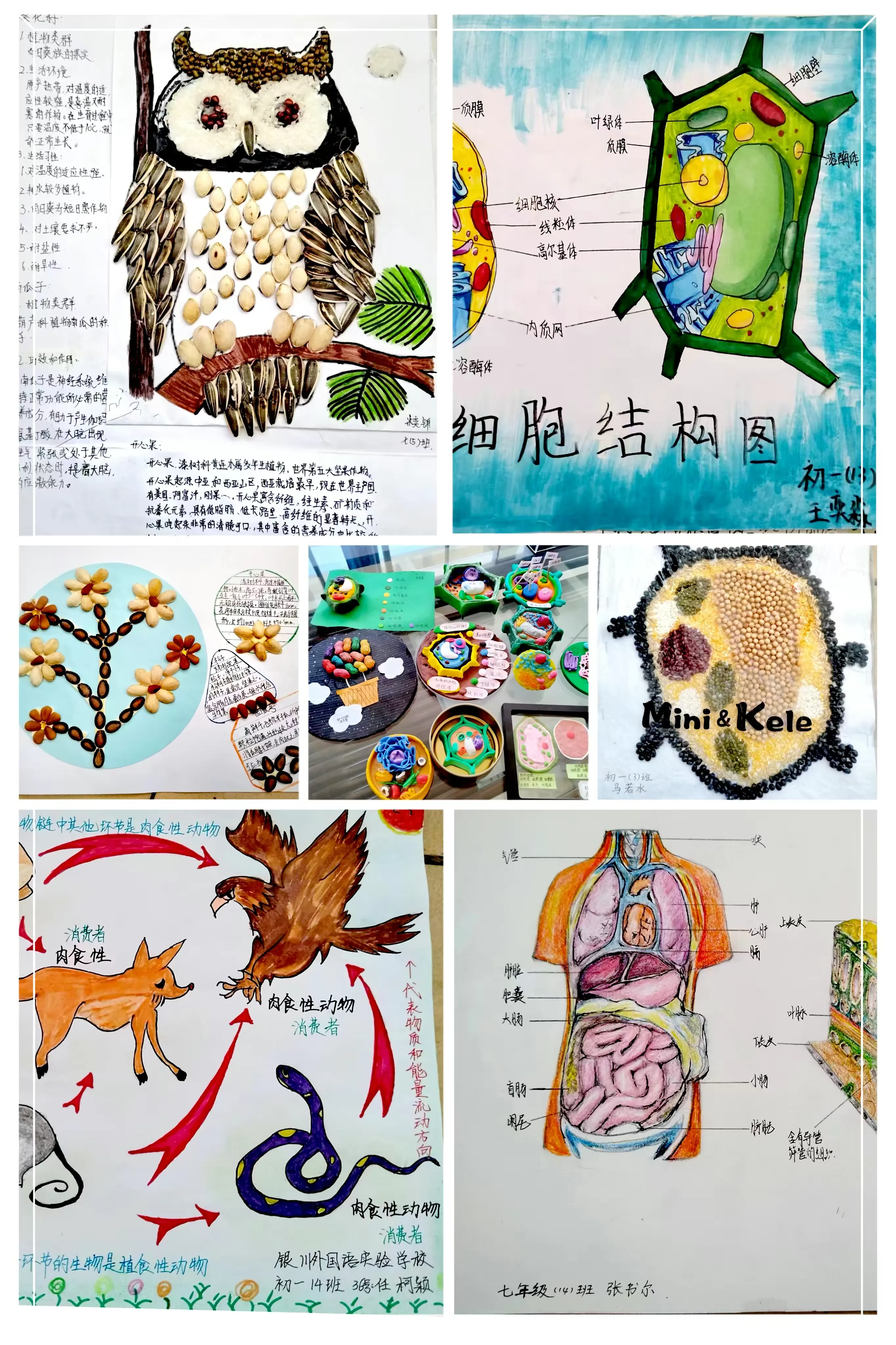 简篇-别开生面 独具匠心--银外创新作业展评掠影