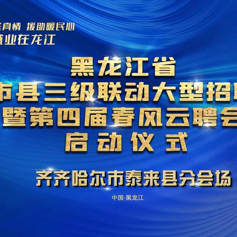 省、市、县三级联动大型招聘会暨第四届春风云聘会启动仪式齐齐哈尔市泰来县分会场
