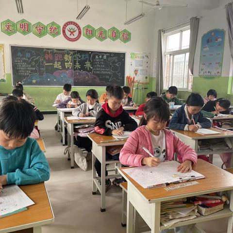 努力无终点，月考筑新篇——汝阳县刘店镇沙坪小学