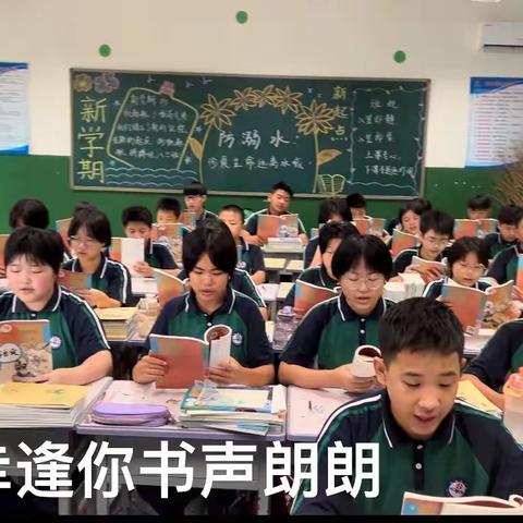 新"心"相遇 沐光同行——孙堡营中学八年级34班语文工作总结