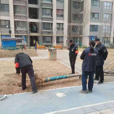 【高桥街道网格中心—薛佳欢】网格+物业 清除“拦路虎”