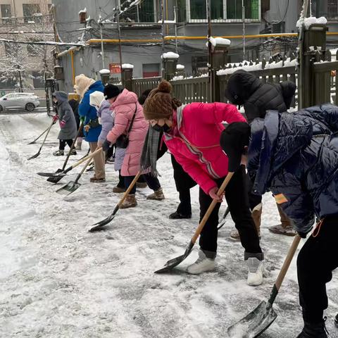 除雪冬日路 齐心保通畅