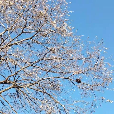 漫步校园，感受青春——赏魅力城刘小学