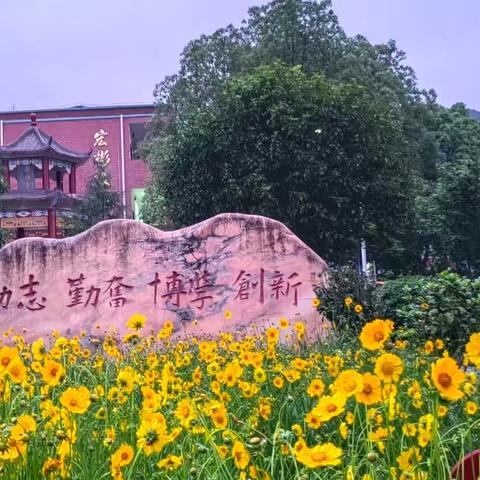 柏市中学2025年春季开学通知