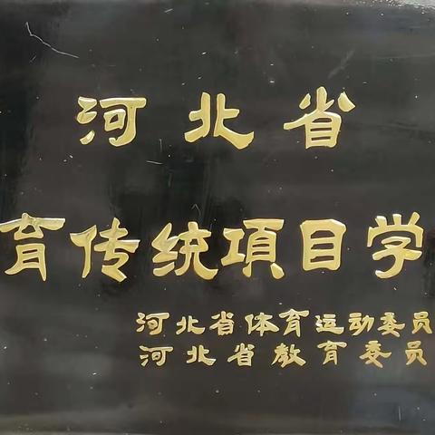 阳光体育强体魄  健康快乐结硕果——女过庄小学阳光体育系列活动