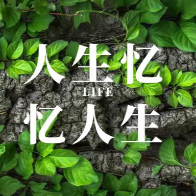 人生忆，忆人生