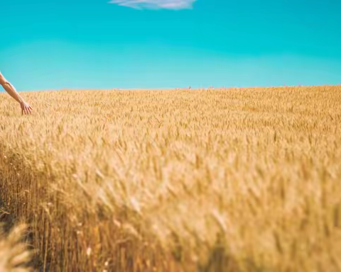 别人眼里的黄土地，是咱心里的“星辰大海”