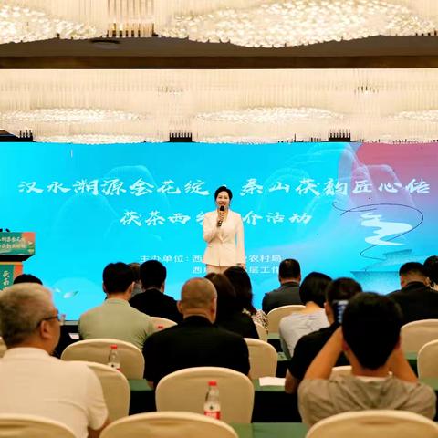 汉水溯源金花绽 秦山茯韵匠心传 ——西咸新区赴西乡县开展茯茶合作推介活动