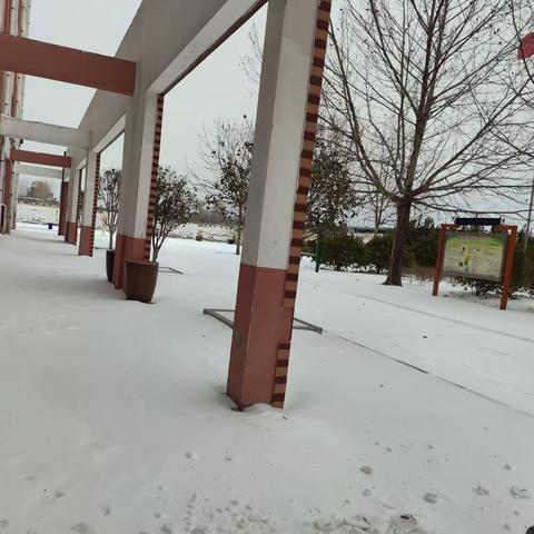 情满校园: 扫雪除冰暖人心——开封市横堤铺小学清扫校园积雪纪实