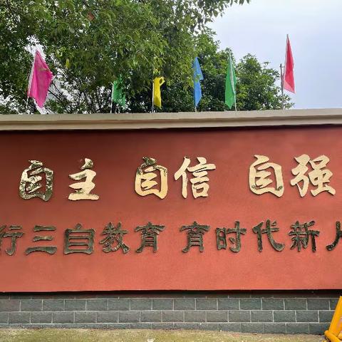 衡龙桥镇中心学校中考喜报