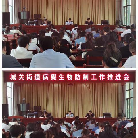 创卫工作再提升 攻坚整治再推进--彬州市城关街道全力推进国家卫生城市创建工作