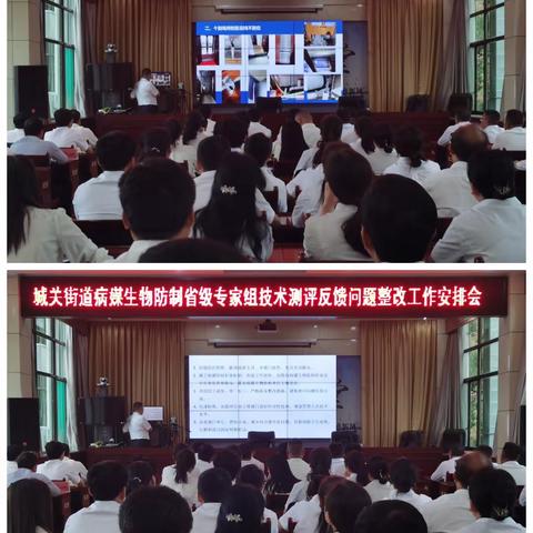 彬州市城关街道召开病媒生物防制省级专家组技术测评工作反馈问题整改工作安排会