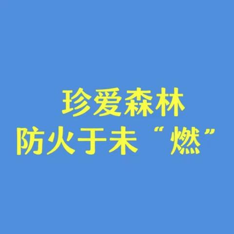彬州市城关街道：多措并举 筑牢森林防火“安全墙”