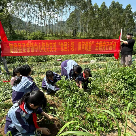 弘扬劳动精神，做新时代好少年——德保县足荣镇中心校2024年劳动周主题教育活动