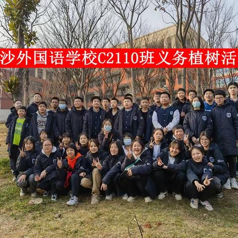 青春活力，绿色盎然----义务植树活动