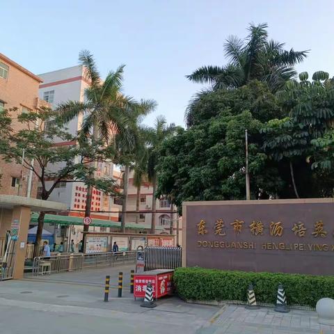 美丽的乡村——培英小学信息组活动剪影