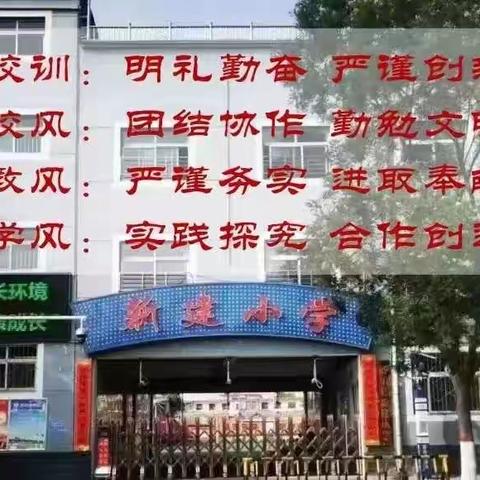 【多彩新建】精彩纷呈的校园活动