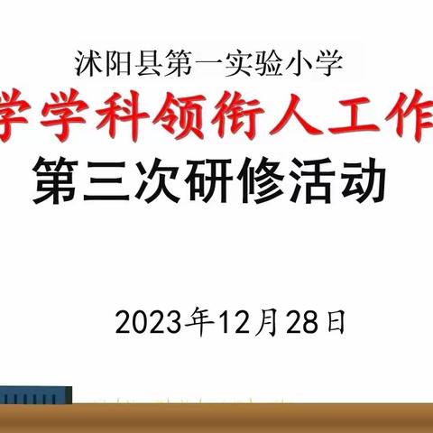 荷韵之美，“研”冬绽放