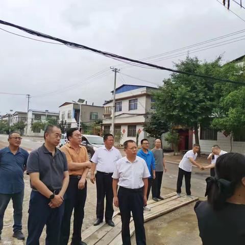 市文旅局领导一行到孝直村调研文物保护和孙家楼修复工作