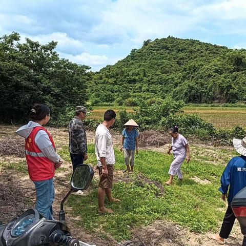 大田镇那都村网格员协助处理土地纠纷