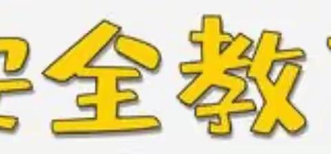 庄浪县大庄镇中心小学关于“加强儿童玩具和学生用品安全管理工作”致家长的一封信