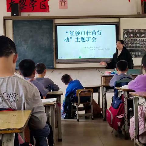 “奉献一份爱心，点然一片期望”——2023年春学期大黎镇平安小学开展“红领巾壮苗行动”主题公益活动