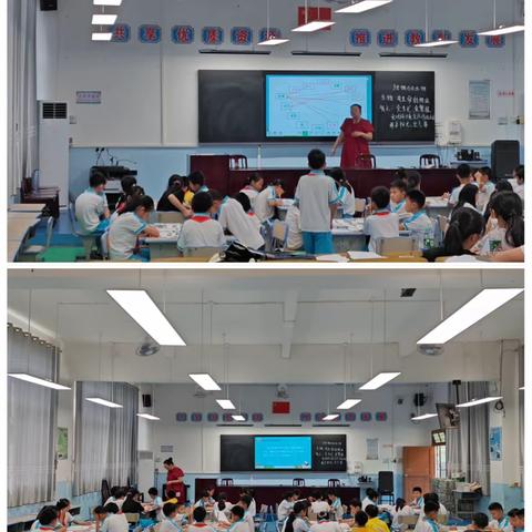 趣探科学，互促成长——南雄市小学科学教研暨李燕名师工作室送教下乡活动