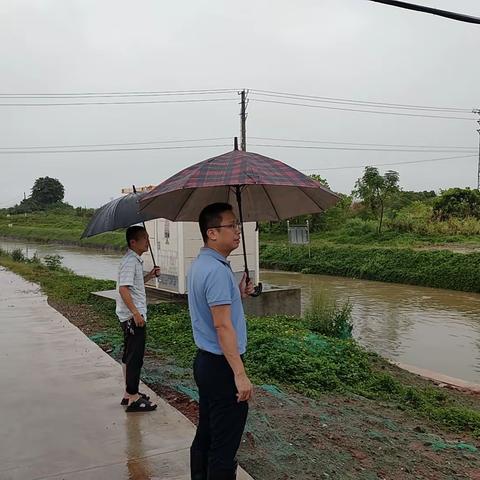 桂林洋开发区区级河段长、管委会副主任陈柏青开展河长制巡查