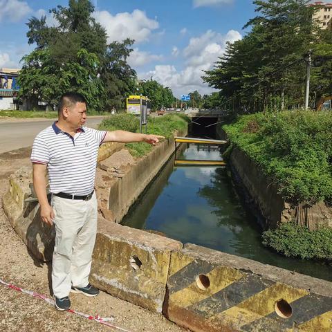 桂林洋开发区管委会副主任周正利开展河段巡查工作