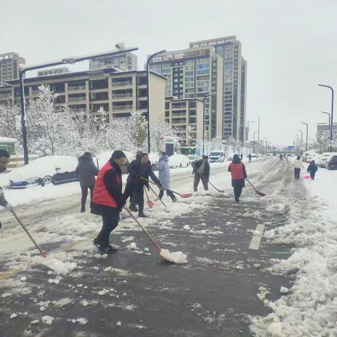 闻令而动全员上阵除雪保畅通 ——市商务局积极开展分包路段除雪志愿服务活动