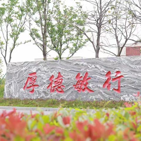 “植”此青绿，乐享劳动——南蔡实验学校同仁种植园开耕