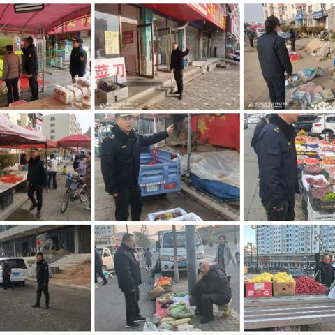 11月5日武定综合行政执法队工作日报