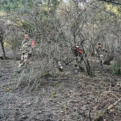 迭部生态建设管护中心水泊沟林场工作日报
