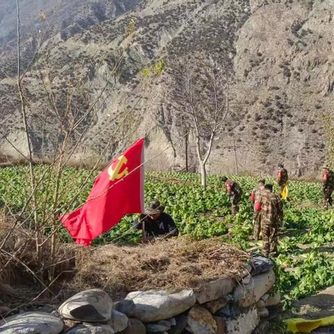 迭部生态建设管护中心水泊沟林场工作日报