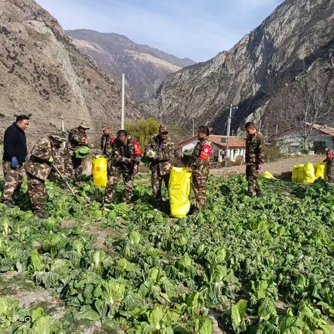 迭部生态建设管护中心水泊沟林场工作日报