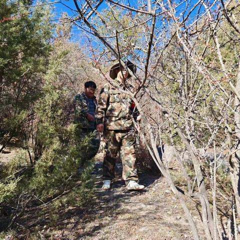 迭部生态建设管护中心水泊沟林场工作日报