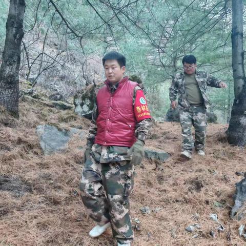 迭部生态建设管护中心水泊沟林场工作日报