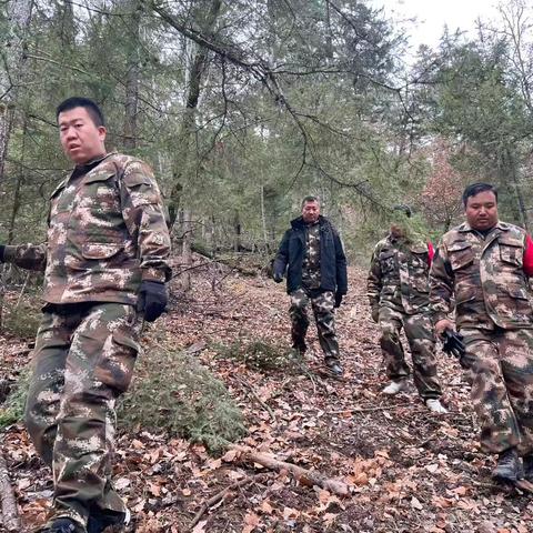 迭部生态建设管护中心水泊沟林场工作日报