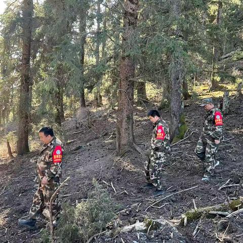 迭部生态建设管护中心水泊沟林场工作日报