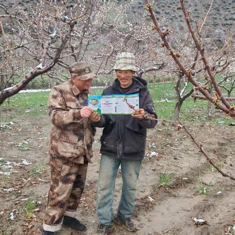 迭部生态建设管护中心水泊沟林场工作日报